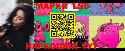 прущие грибы Будённовск