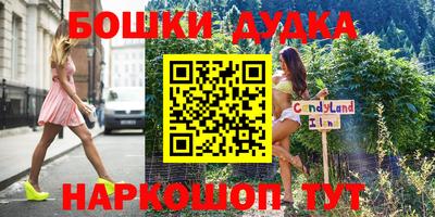 прущие грибы Будённовск
