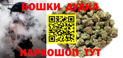 прущие грибы Будённовск