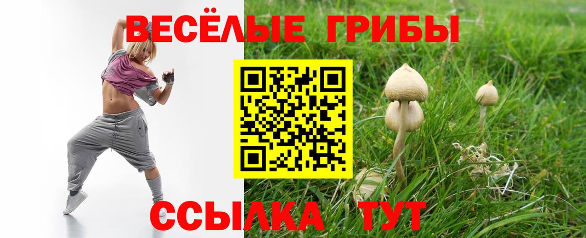 Псилоцибиновые грибы GOLDEN TEACHER Серпухов